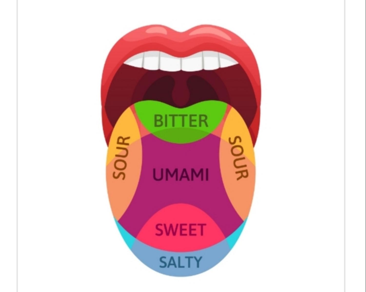 5 qualities of taste