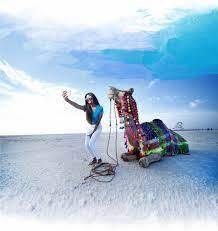 Rann utsav - an overview