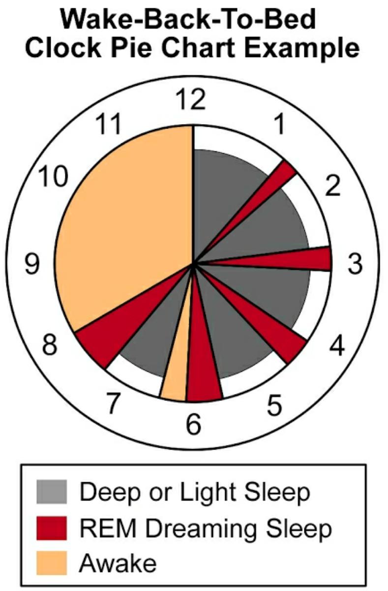 Wake back to bed (WBTB)