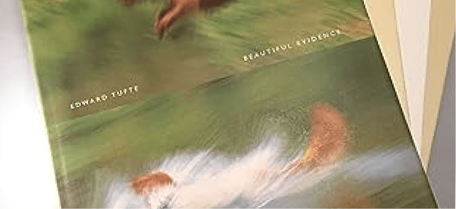 Beautiful Evidence