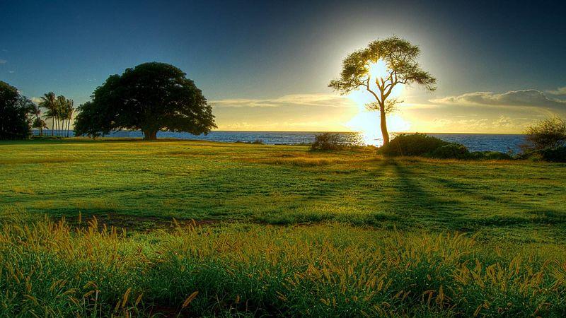 Undervalued (2): Nature