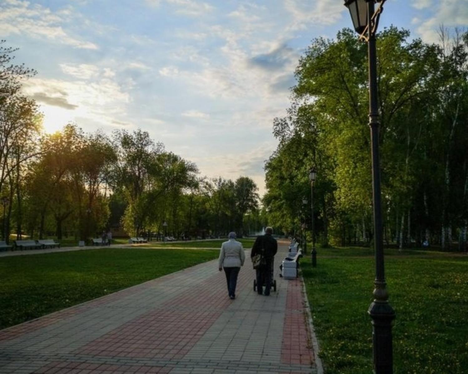 6. They take walk