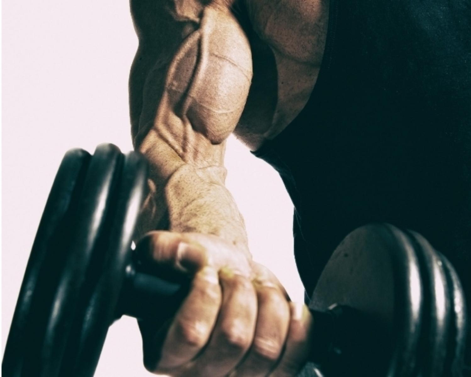 BIGGER  ARMS  IN  LESS  TIME