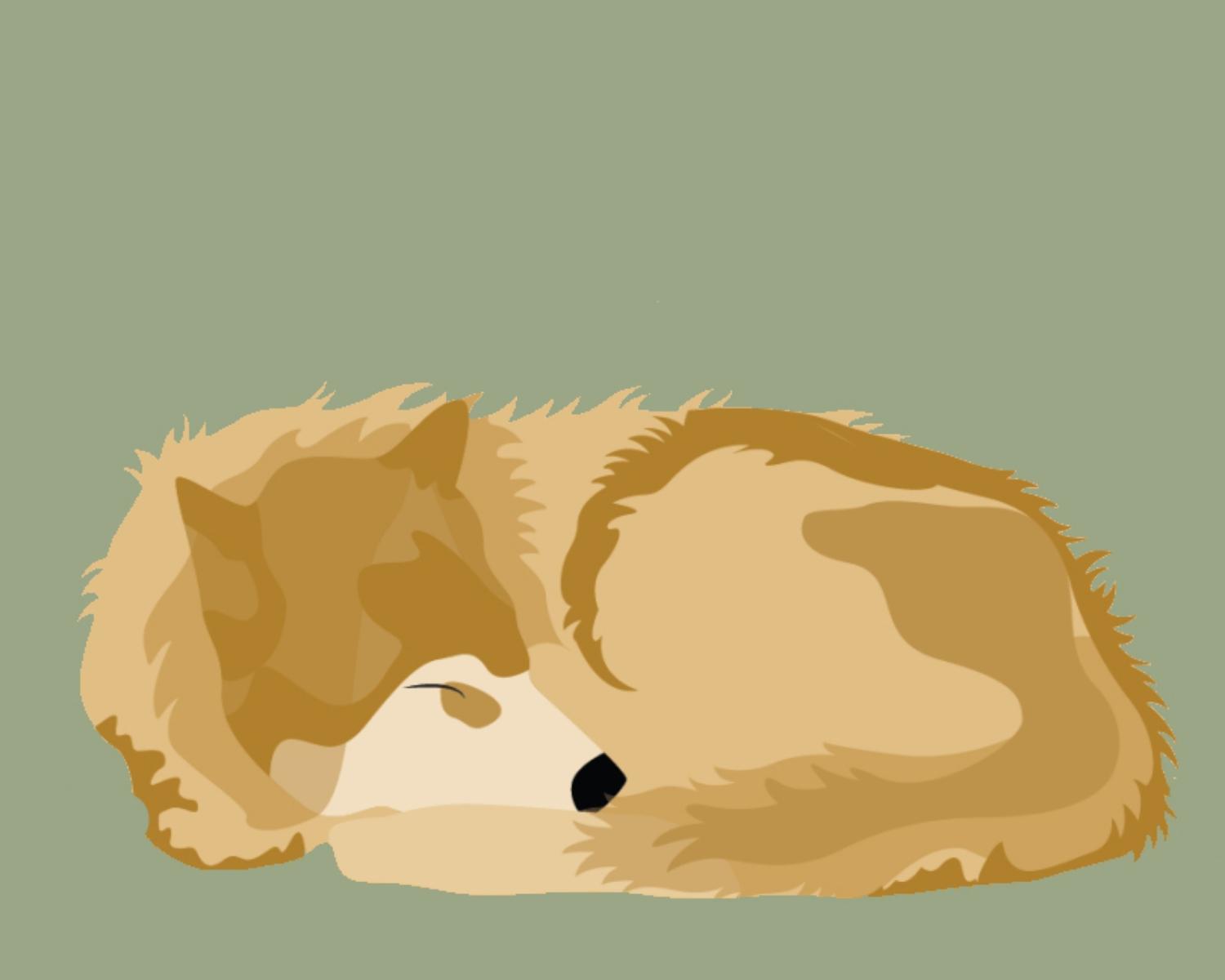 Wolf Chronotype
