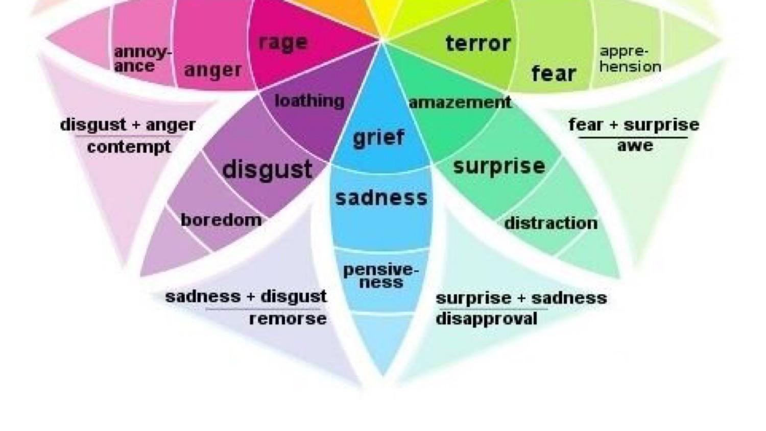 Relationships Between Emotions