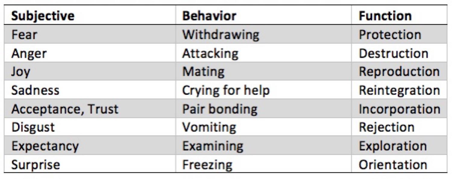 The Functions of Emotions in the Emotion Wheel