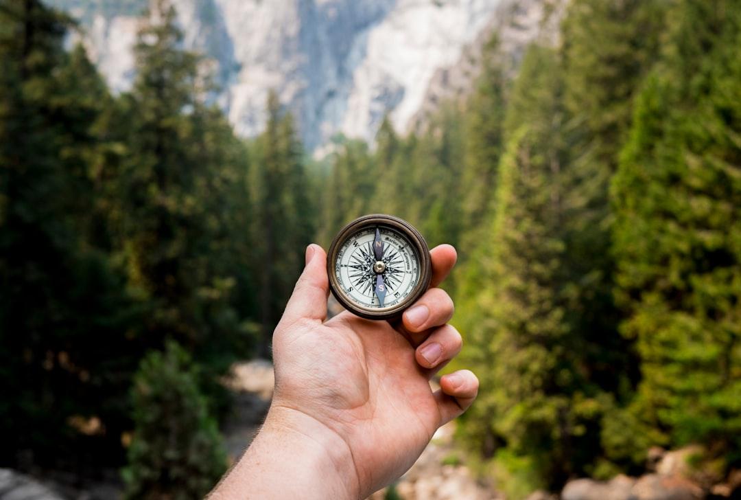 How to find your purpose