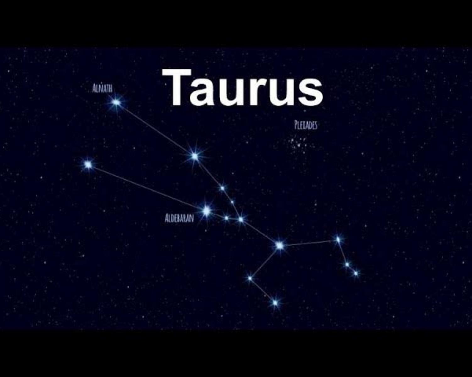 Taurus - Bull 