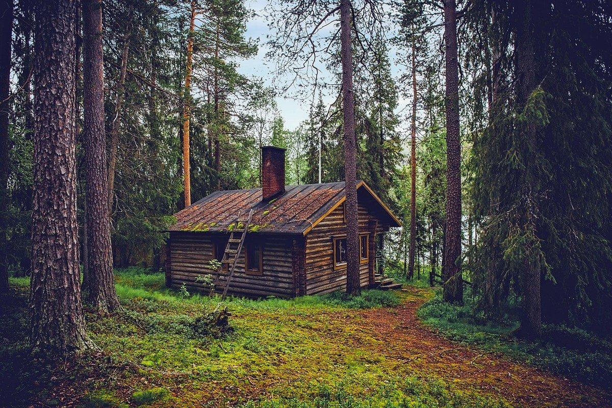 Thoreau’s New Economics