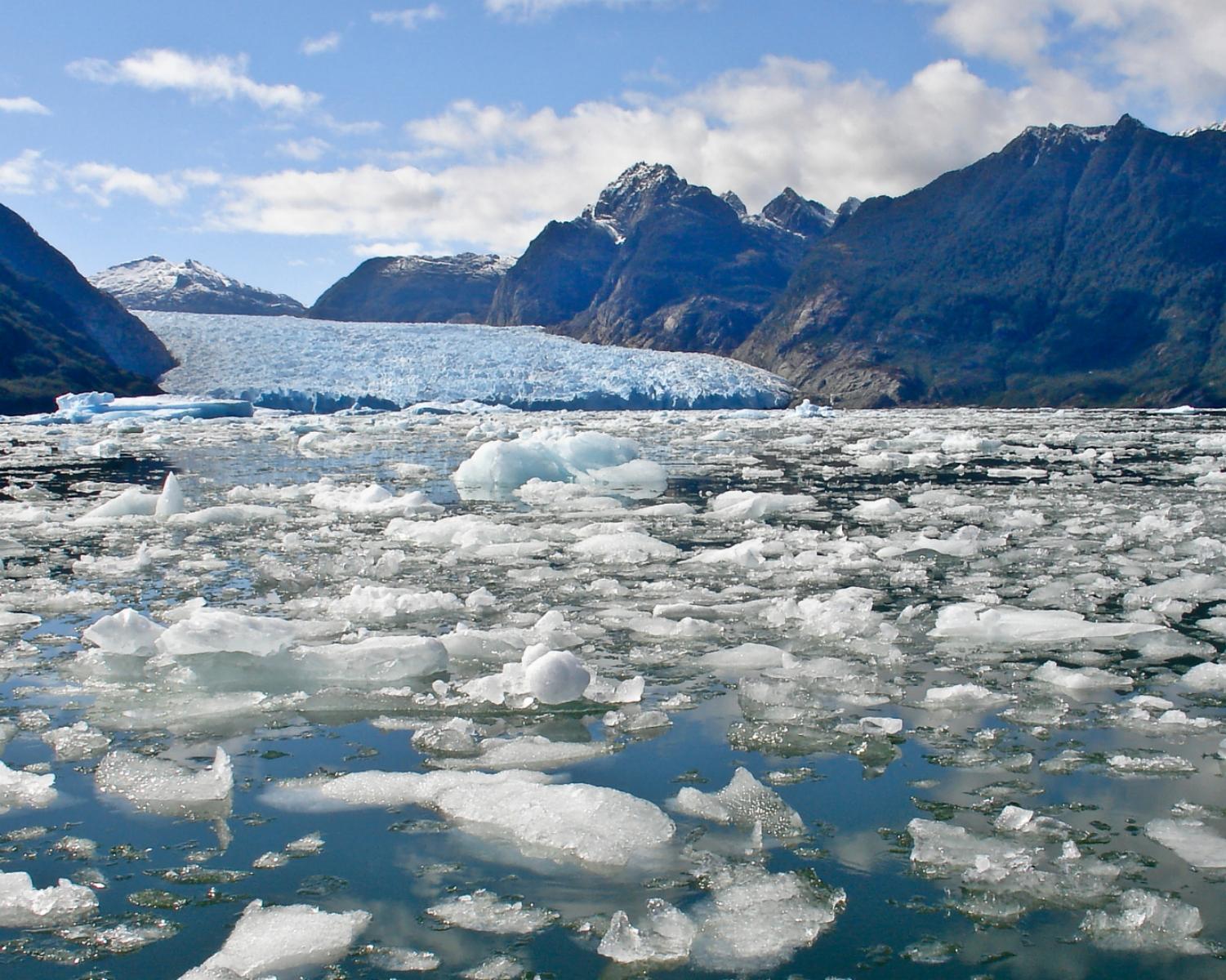 Effects of Global Warming
