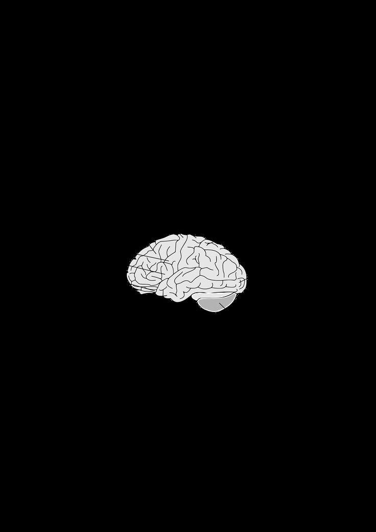 If You Can't Control Mind, Control Brain Then