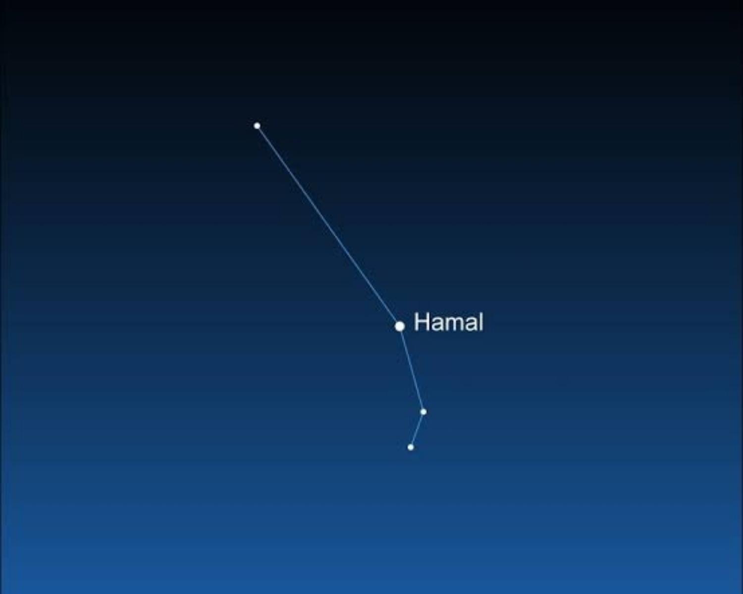 Aries - Ram