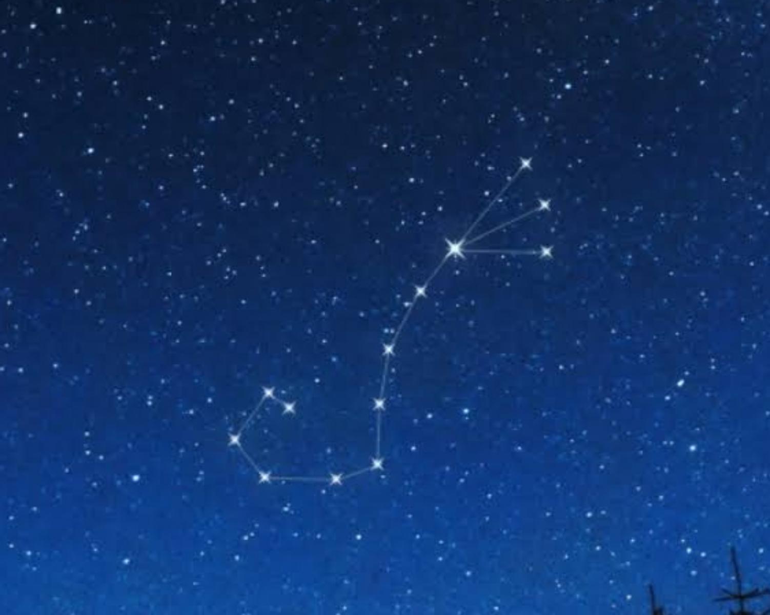 Scorpius - Scorpion 