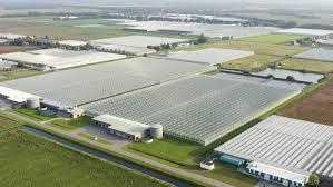 The greenhouse capital