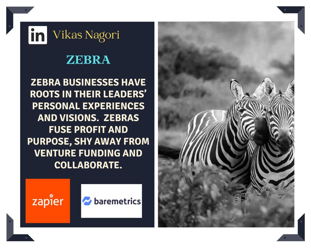THE ZEBRA