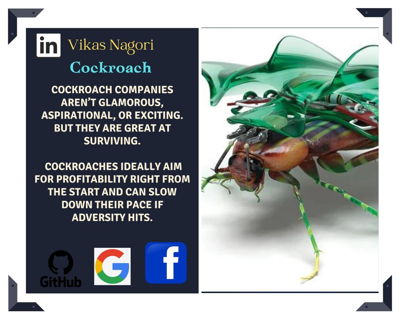 Cockroach