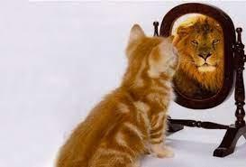 Reality Verses Perception