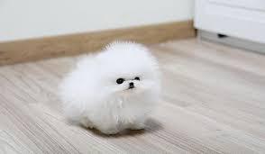 12. There's a reason we want to squeeze cute things.