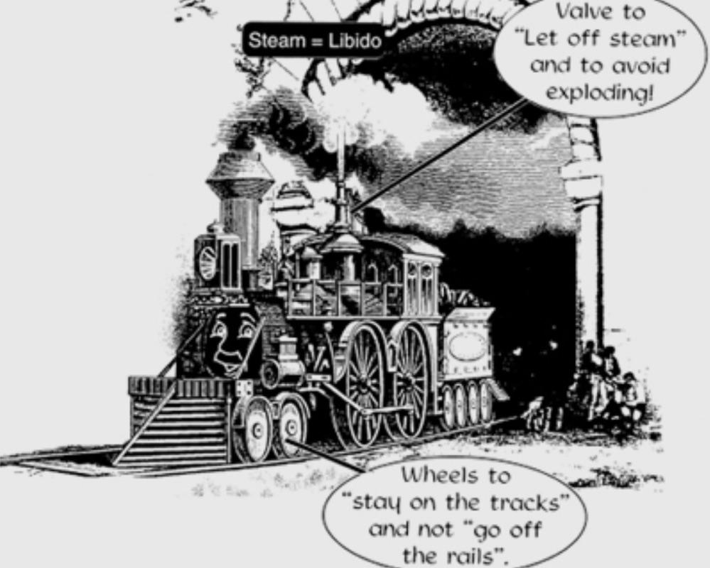 The Psychodynamic Perspective 