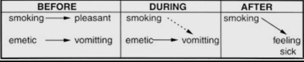 Learning Laws 
