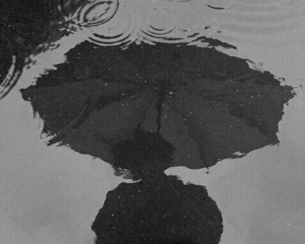 No Longer Human