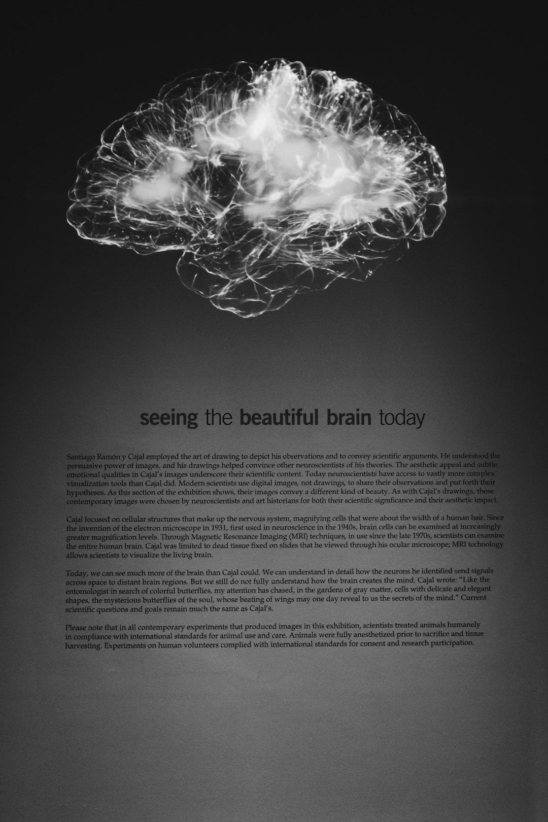 Declutter Your Brain | How To Not let Thoughts Dictate You 