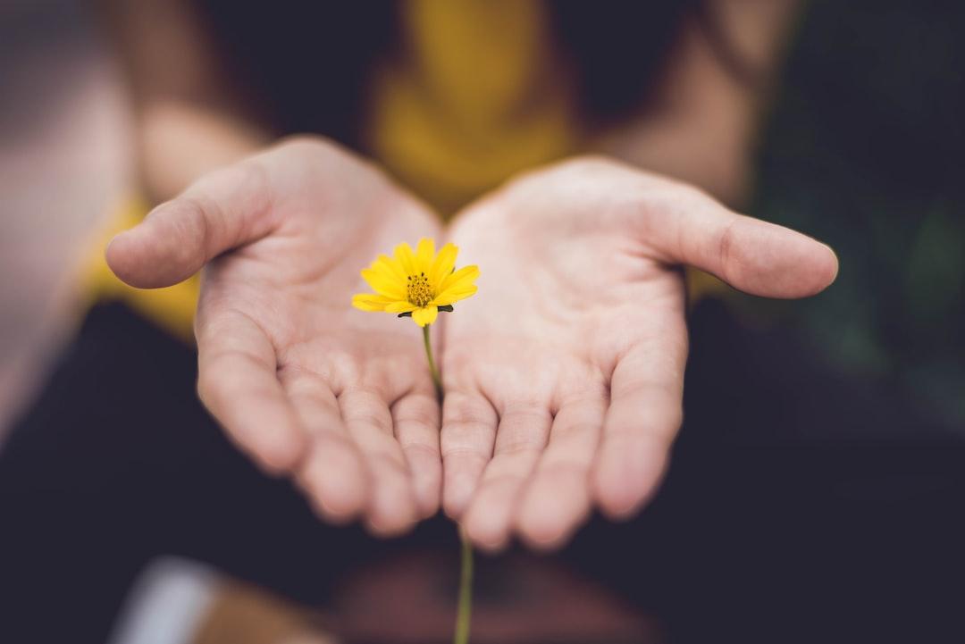 1 – Define your values.