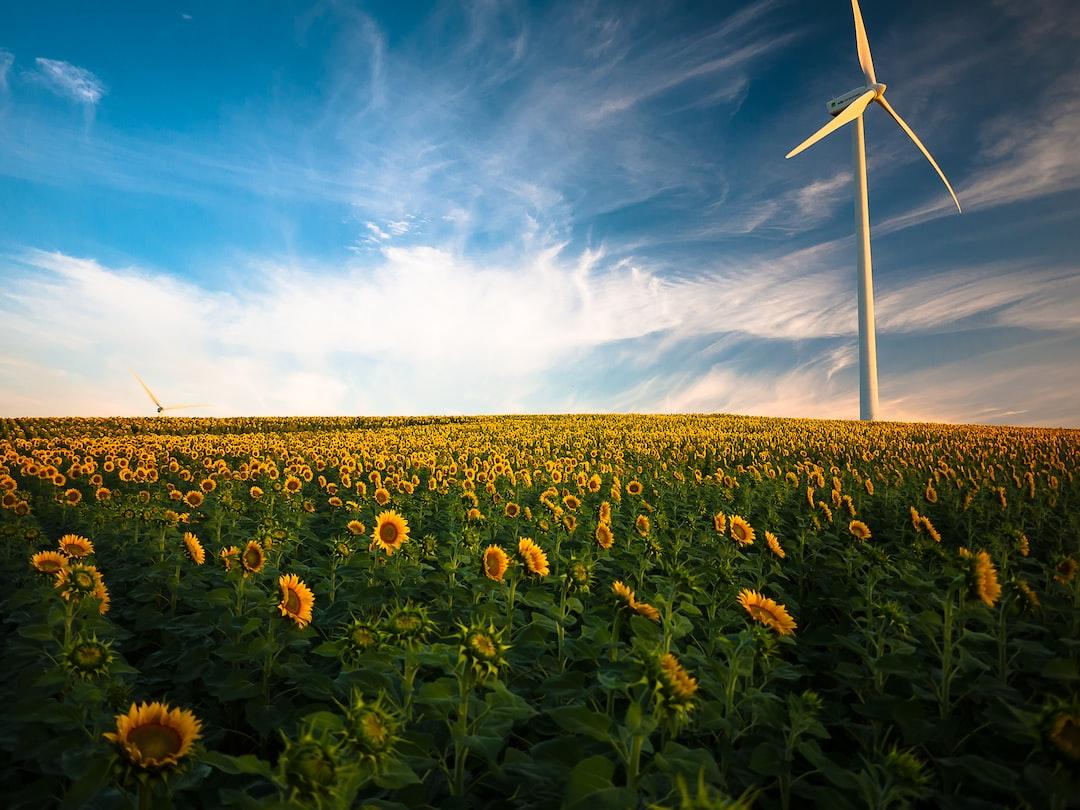 Creating the Right Environment