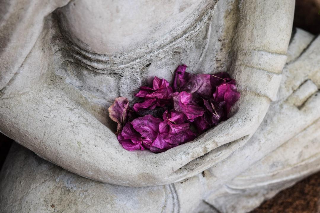 The Power of Meditation in Harmonizing Vibrations