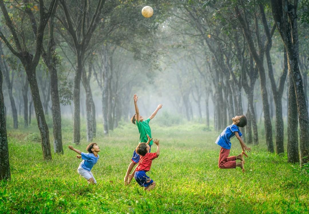 Activity Levels and Societal Roles