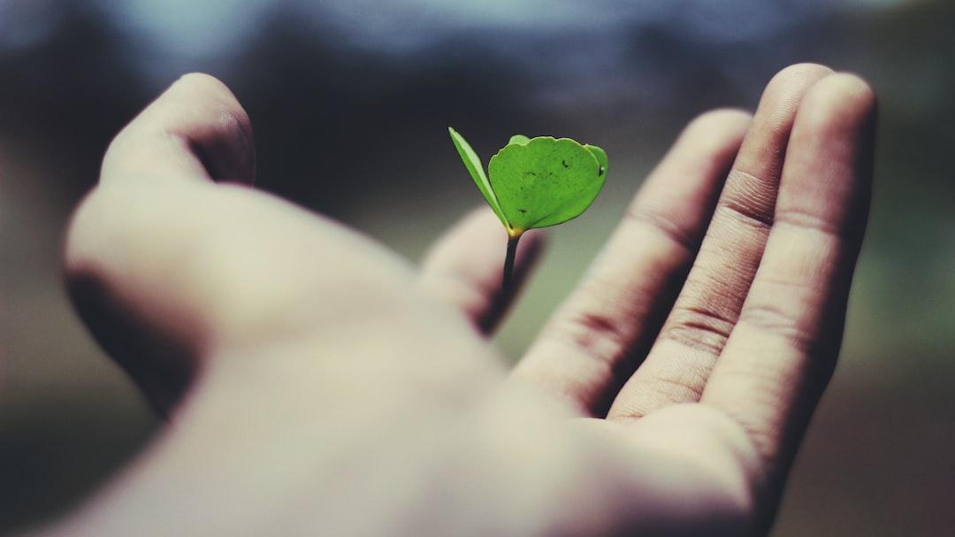 Reflective Practices for Continuous Growth