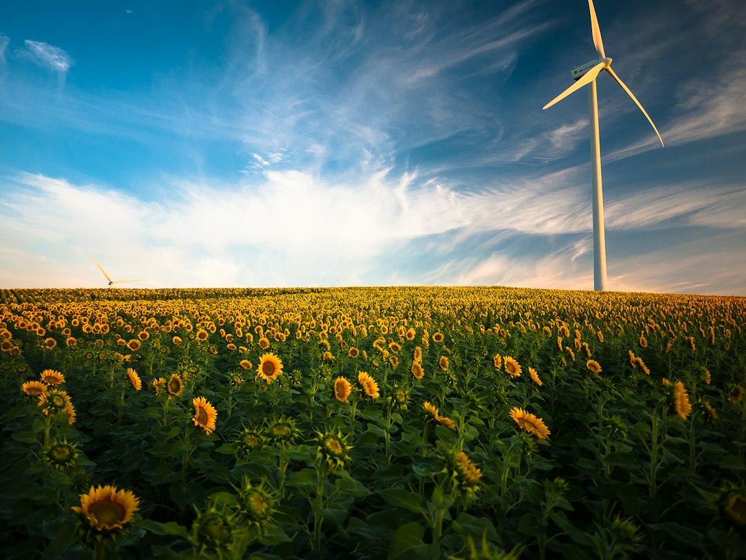 Optimize Your Environment