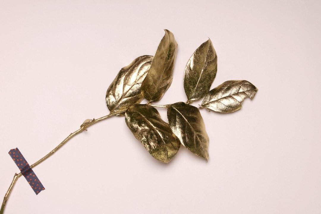 Make thy gold multiply