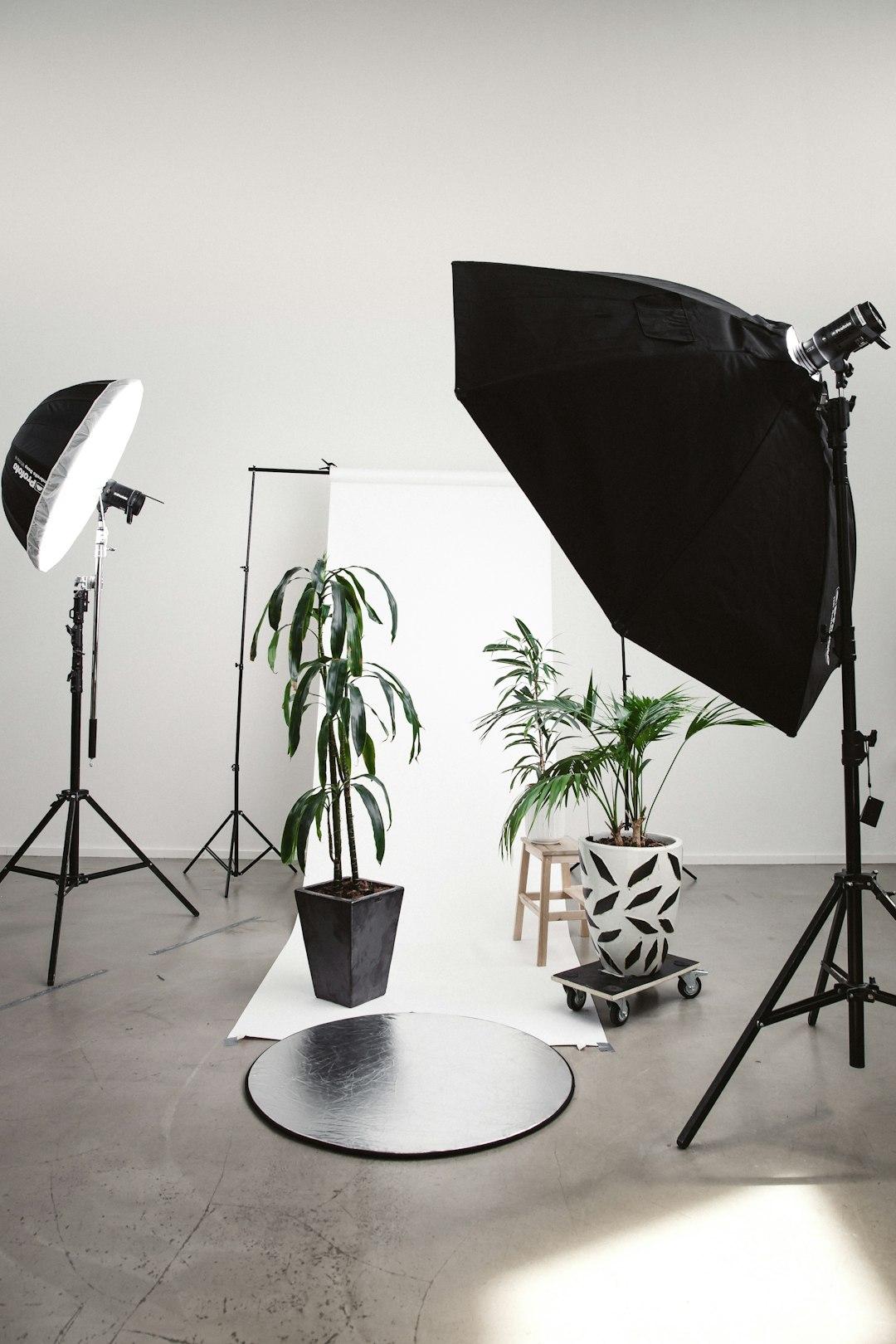 Photography: Capturing the Extraordinary in the Ordinary