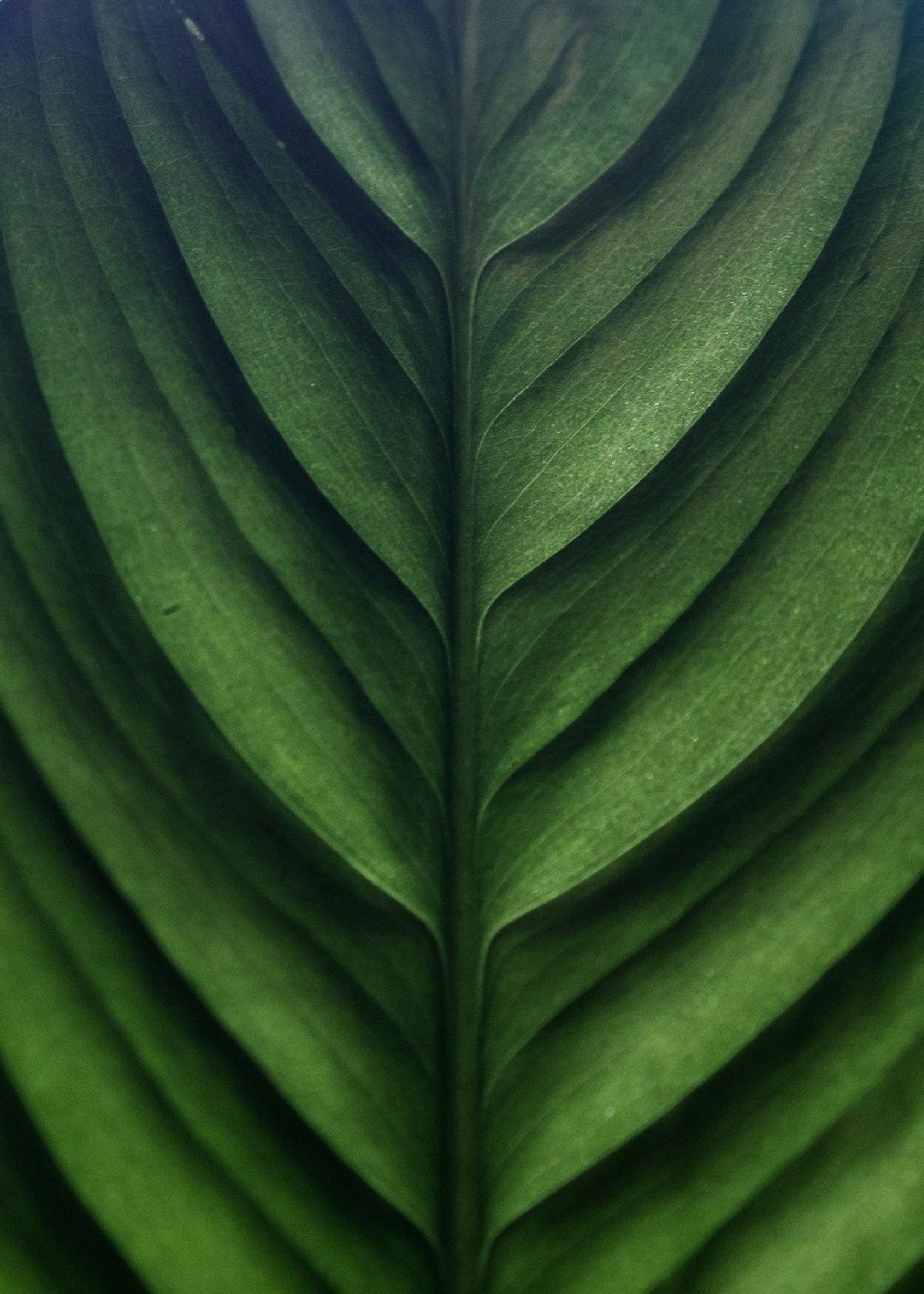 Sustainability and Efficiency