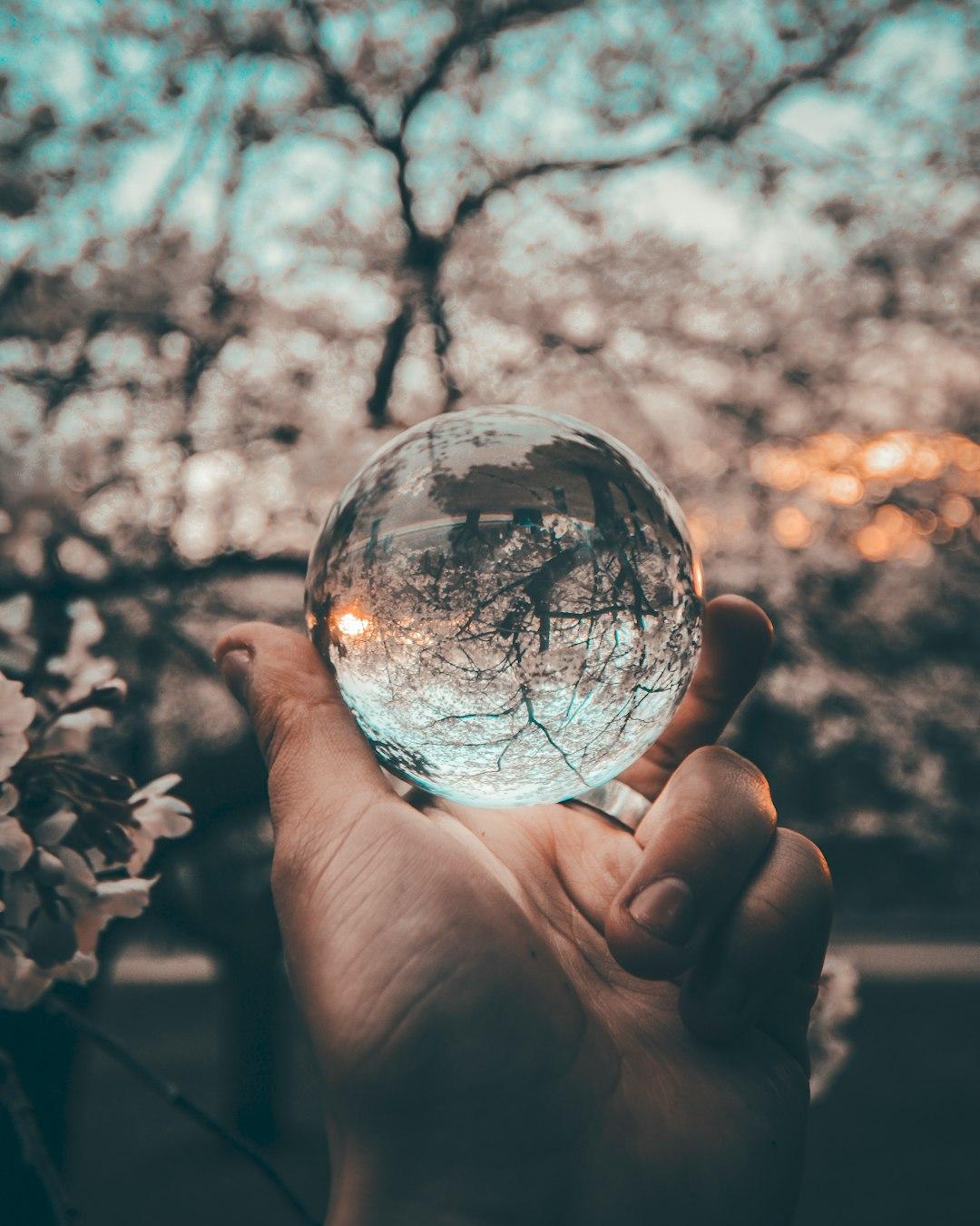 The Self-Reflection Magic