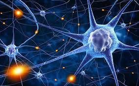 Neuroplasticity at Work