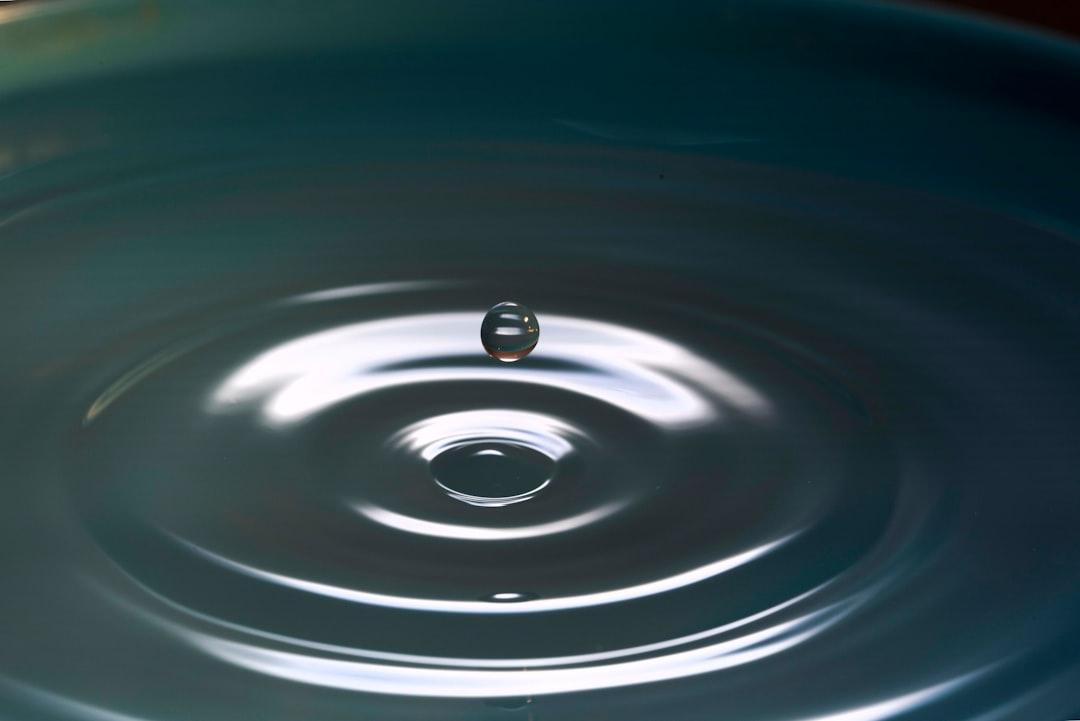 Mindfulness: Anchoring in the Now