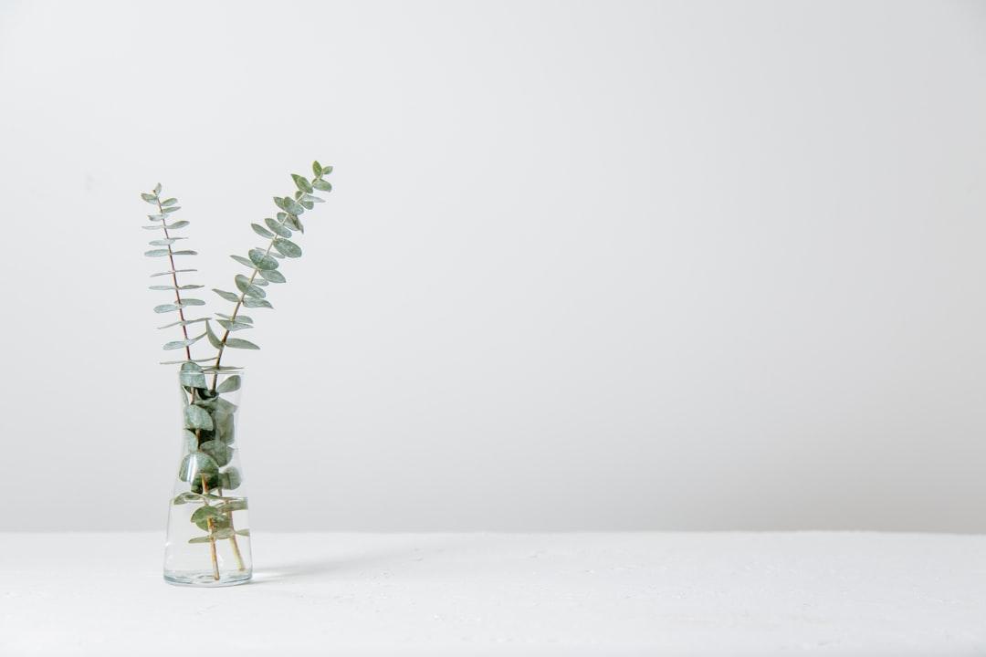 Cleaning up the brain clutter
