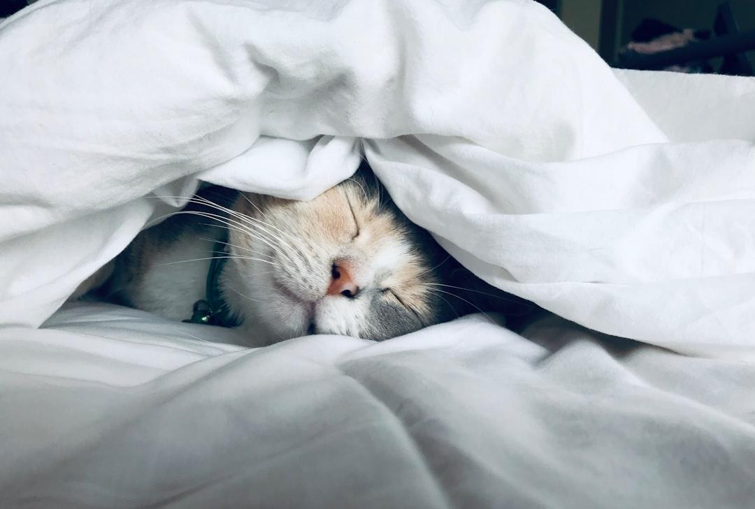 Get enough night sleep