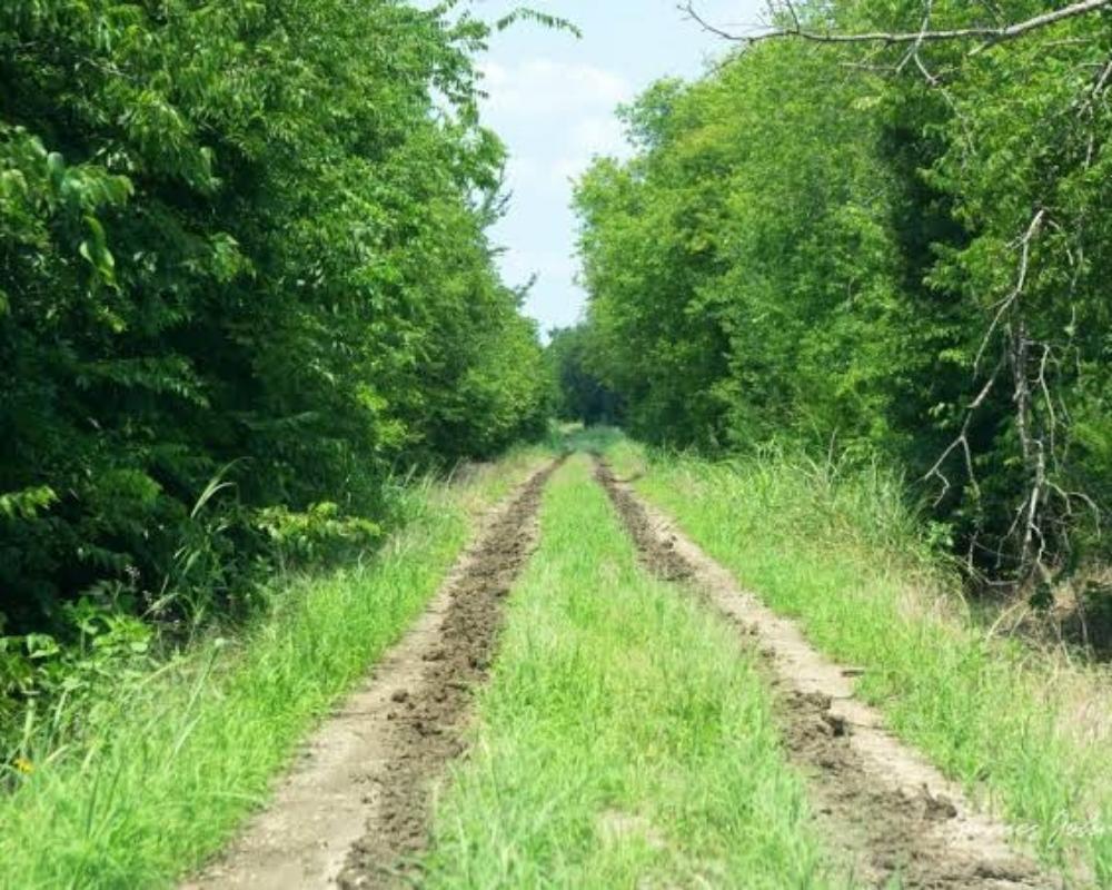 Recognize Your Ruts, Create Your Own Trench