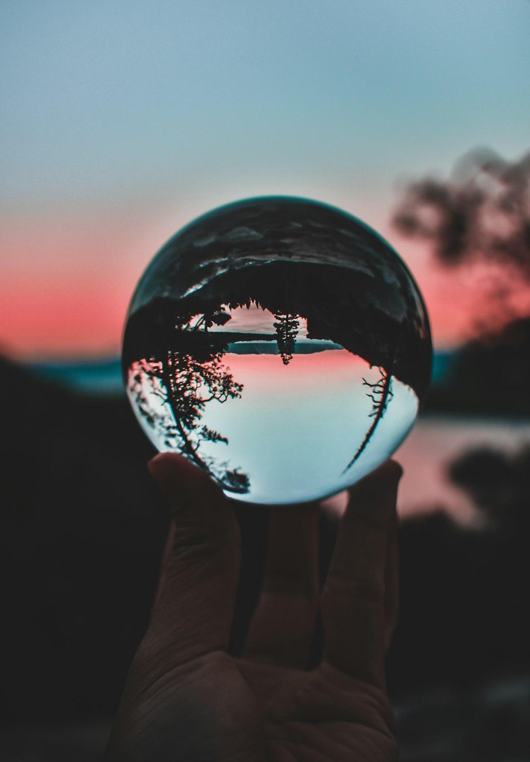 Control and Perception in Focus