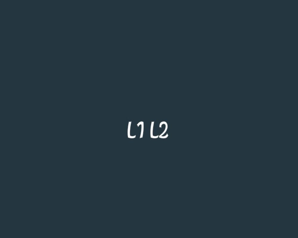 L1 L2...