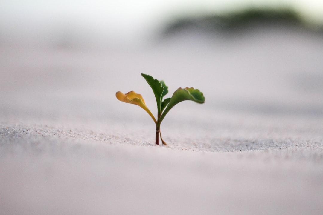 Practicing systems thinking is not just about understanding systems, but also about personal growth.