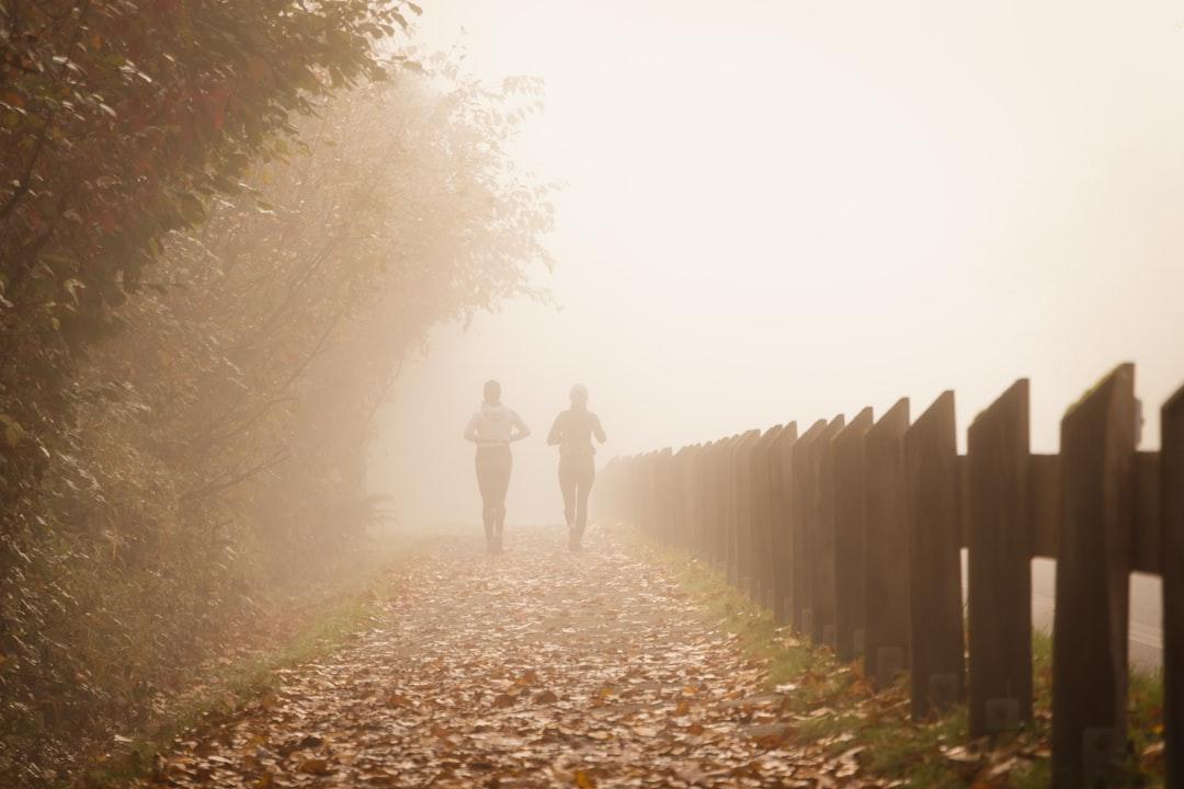 Grief as a Companion