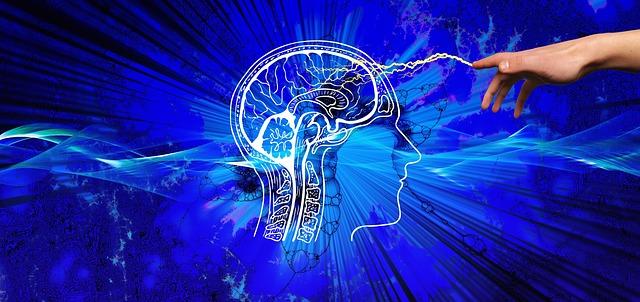 Our Brains Need Challenge