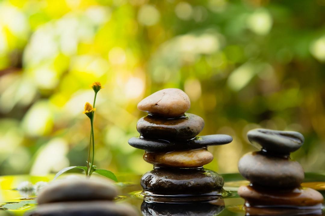 The Principle of Polarity