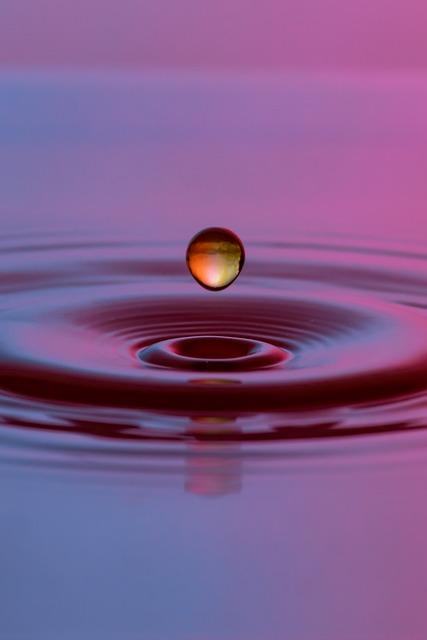 Energy Flow & Productivity