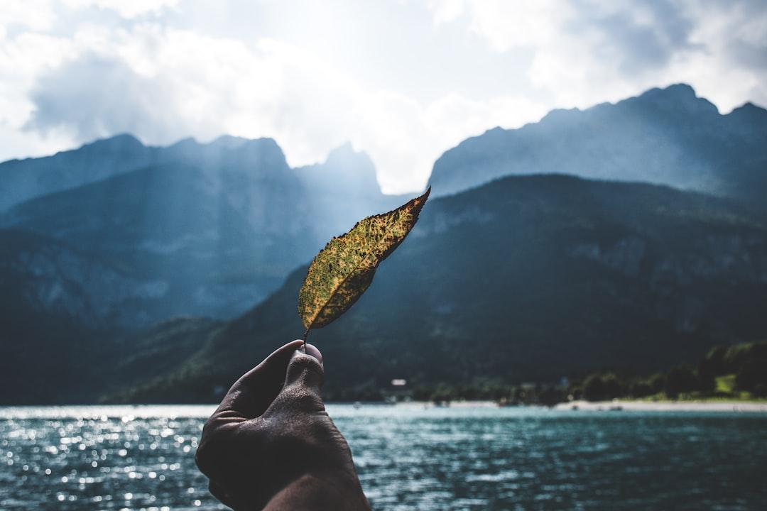What Are Blue Zones?