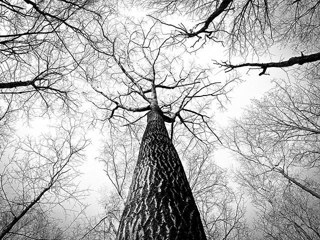 Maintain A Sense Of Perspective